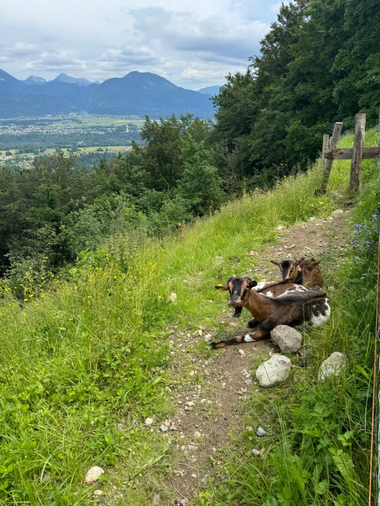 Koca Na Talezu Inn *